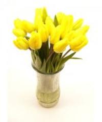 Jacob's Tulips