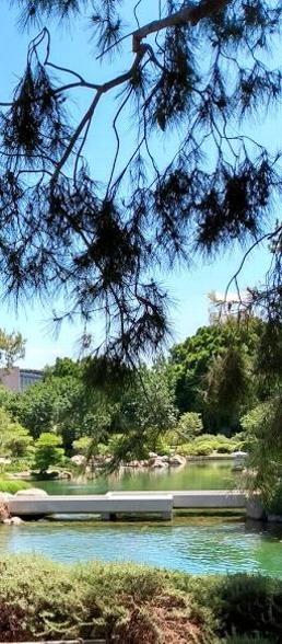 Japanese Garden Phoenix Arizona 2020