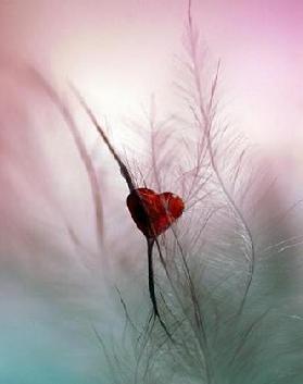 I love you without knowing how, or when, or from where, I love you simply, without problems or pride: I love you in this way because I don't know any other way of loving. by Pablo Neruda