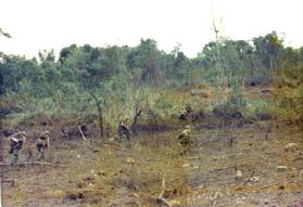 Marines under fire on Scotland II - Click here Alpha Company Website...