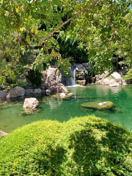 Japanese Garden Phoenix Arizona 2020