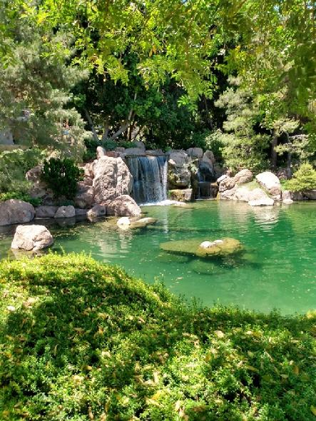 Japanese Garden Phoenix Arizona 2020
