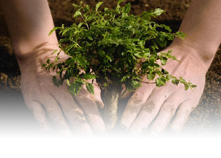 Earth Day