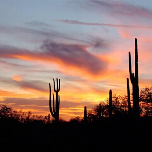 Phoenix Arizona 2020
