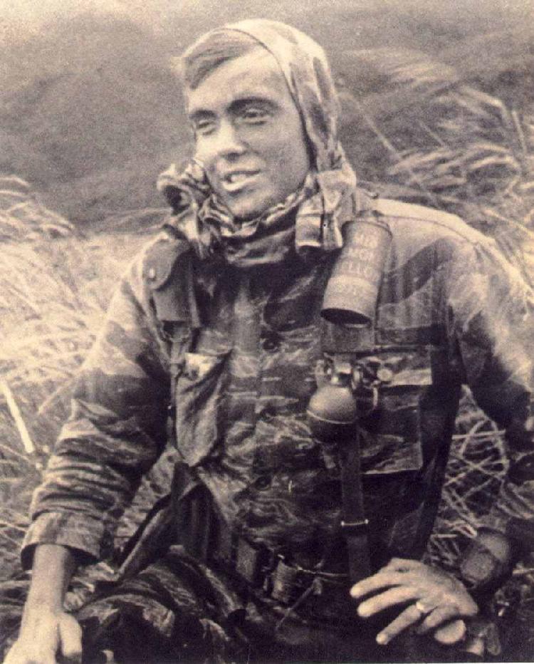 Click here for more on the Tiger Force '66....