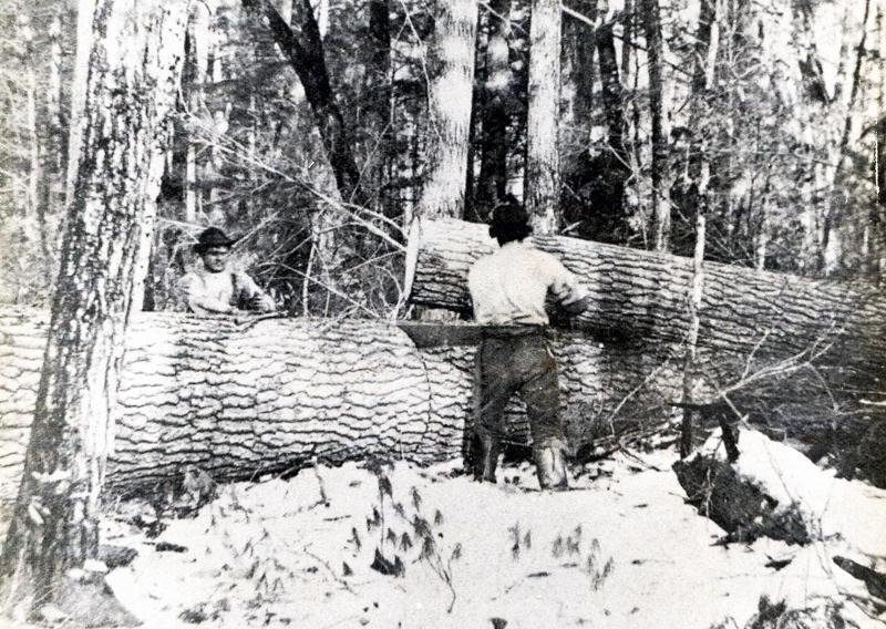 Hanson and Company lumber firm.