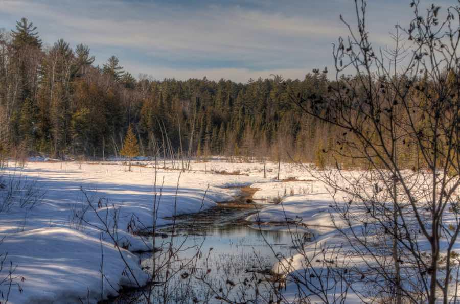 Northern Minnesota January 2021